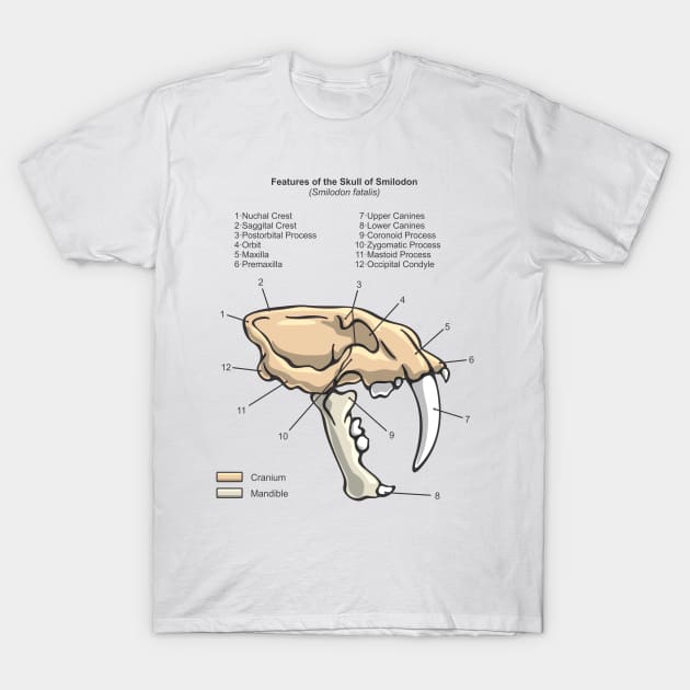 Smilodon Skull Diagram T-Shirt by taylorcustom